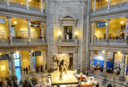 Smithsonian Museums
