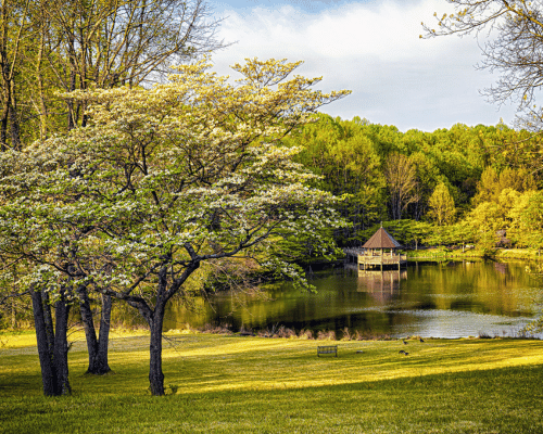 Meadowlark Botanical Gardens