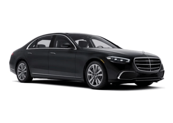 Mercedes Benz S- Class