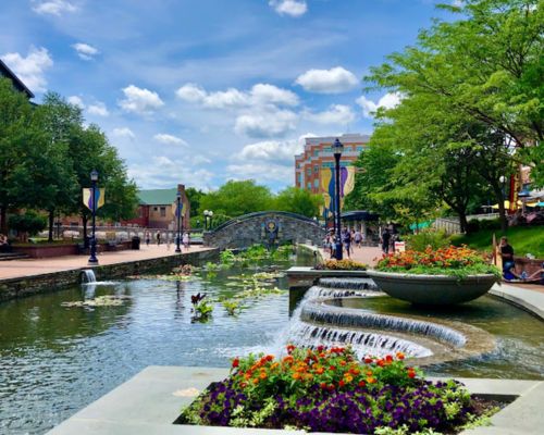 carroll creek park frederick md