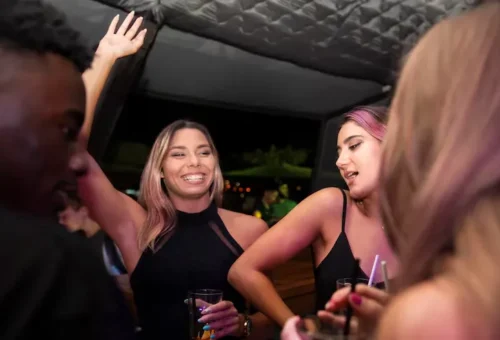 Comfortable limo interior for VIP rides in College Park MD