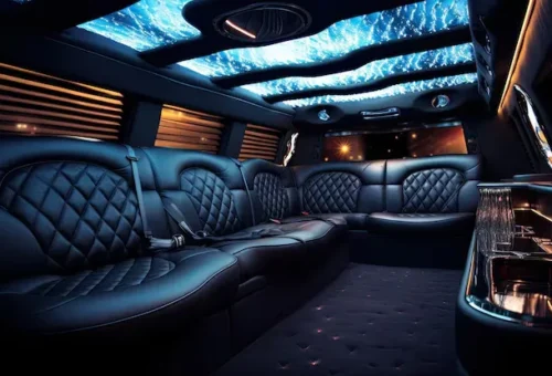 AA Limousine and Sedan fleet lined up in Greenbelt MD