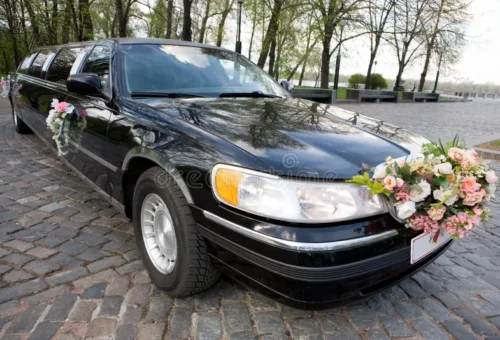 AA Limousine and Sedan fleet parked in Montgomery County MD