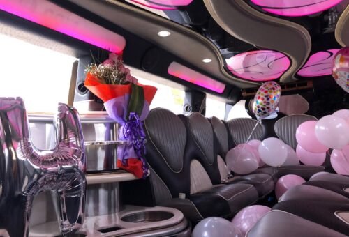Birthday Party Limousine Service in Washington DC