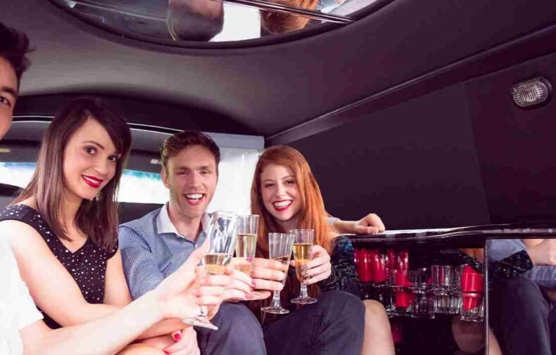 Best Time for Wine Tasting Limo Tour in DC