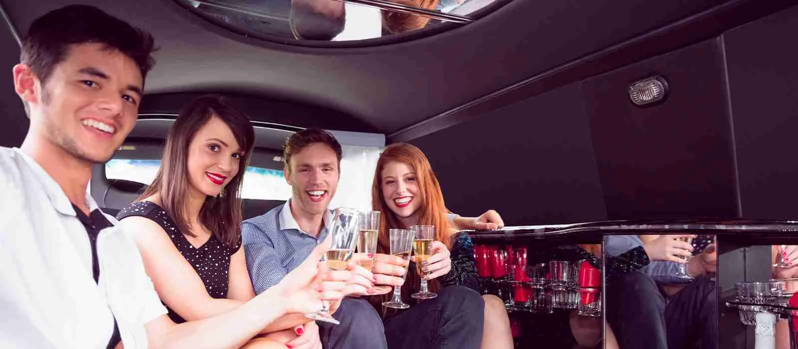 Best Time for Wine Tasting Limo Tour in DC