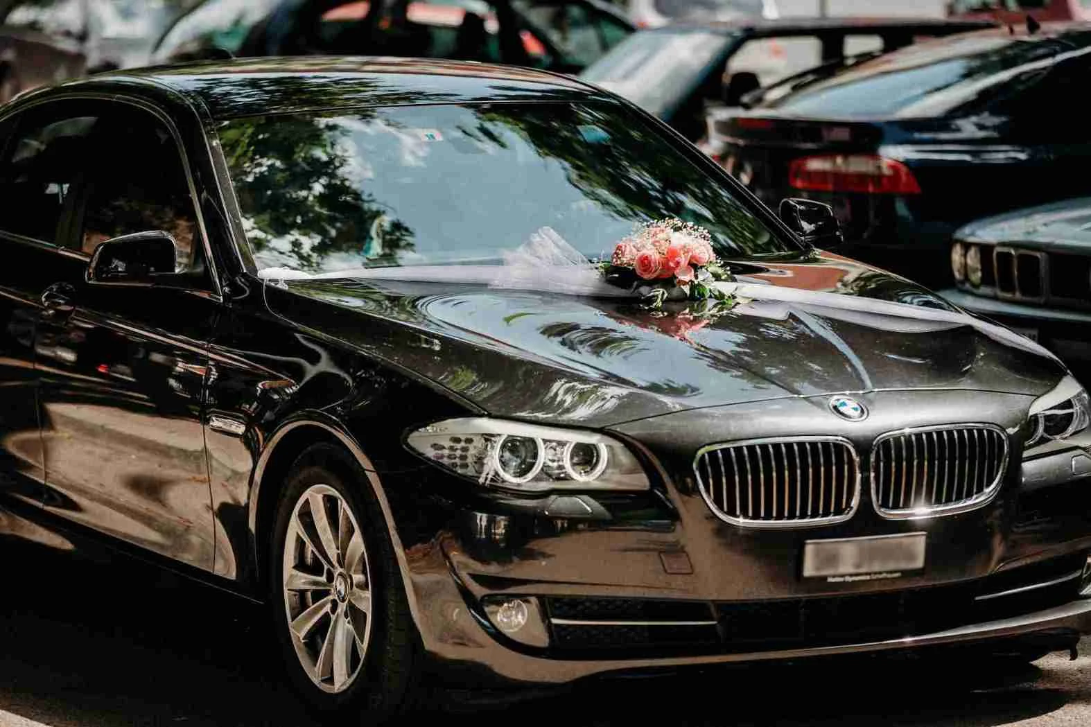 Car Service in Potomac MD