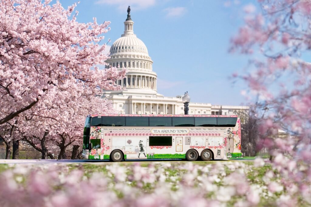 DC Cherry Blossom Limo Tour