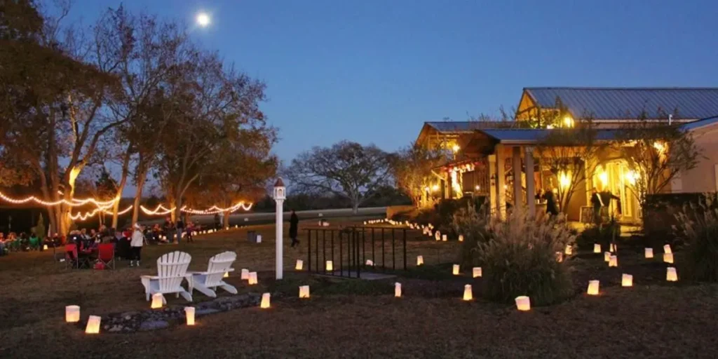 Guide to the Best Wineries Near Houston 