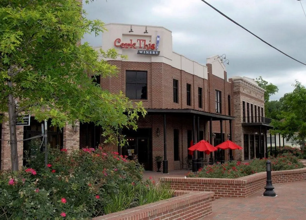 Guide to the Best Wineries Near Houston