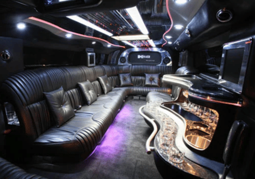 Enjoy spacious seating in Limousine